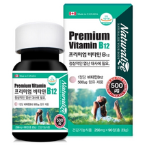 네추럴라이즈 프리미엄 비타민 B12 256MG X 90정 X 1병 비타민B12 비타민B