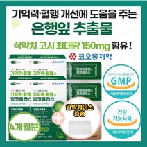 코오롱 제 약 고함량 징코 기억력 혈행 정맥 은행잎 추출물 뇌 건강 손발 혈관 영양제 다리 종아리 부모님 집중력 나이아신 아연 판토텐산 혈액순환 비타민 저림 절임, 4개(4개월), 4개