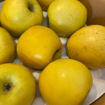 황금사과 시나노골드 가정용 3kg 달고 맛있는 고당도 경북 사과, 가정용 대과 (7~9개)