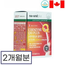 코큐텐 60캡슐 코엔자임 큐텐 Q10 COQ10 비타민 혈압 감소 항산화제 항산화, 상세페이지 참조, 상세페이지 참조