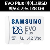 삼성전자 유라이브 G2 마이크로SD카드 128G EVO PLUS MicroSD, 128GB