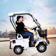 어르신전동차 다인승 전기 노인 삼륜오토바이, 2인용등산 60V 32A 리튬 배터리