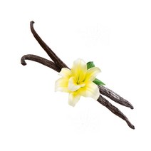 A등급 최상급 VANILLA 버번바닐라빈, 1개, 50g