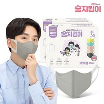 숨지킴이 성인용 실버 100매 국내생산 새부리형 일회용마스크