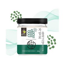 식물성 자일로 올리고당 유산균 23종 250g