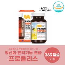 뉴질랜드 PROPOLIS 프리미엄프로폴리스 365캡슐 12개월분 플라보노이드 프로폴리스 아연 세균 바이러스 항산화 면역 식용글리세린 아이 키즈 직장인 성인 남자 여자 수험생, 600mg * 365캡슐