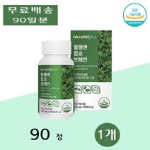 내츄럴플러스 혈행앤 징코 브레인 플라보노이드 은행잎추출물 플라보놀 활력증진 90정 1개