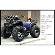 4륜 오토바이 바이크 산악용 농업용 오프로드바이크, 자동변속기 빅불 패키지 쓰리