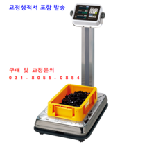 카스 고중량 100AC 계수형 수량 확인 전자저울 100kg 20g / 검교정 성적서 및 수리