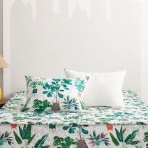 [박홍근홈패션] 아델 프레쉬 광목면 100 베개커버 2장