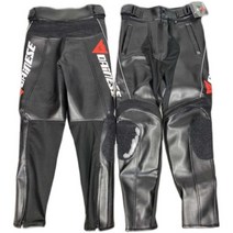 다이네즈 오토바이 바이크 슈트 상의 하의 세트 라이딩 가죽 자켓 보호패드 착용가능, B