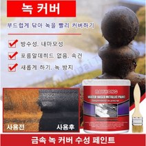 스테인레스 녹제거제 + 브러쉬 세트 100g