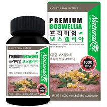스키니랩 먹는 히알루론산 수분보충 피부건강 비타민A 비타민E 식물성캡슐, 2박스