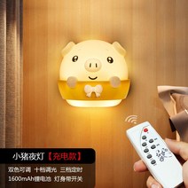 전기세레나이트 리모컨 침실침대 야광콘센트 에너지절약 아기 수유 스탠드 잠자기 무드등-16205, 단일옵션, 옵션06