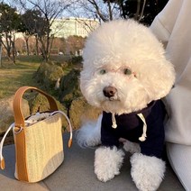 강아지옷 가을 겨울 강아지 후드티 고양이 의류 반려동물 용품, 네이비 블루, L