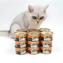 동동이네 고양이 간식 쉬바캔 디럭스 촉촉한 닭가슴살과 그레이비 소스 85g 고양이가 잘 먹는 습식사료 캔간식