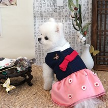 [도그러브] 패리스독 럭키걸 한복 암강아지한복 강아지설빔 강아지한복, 그레이