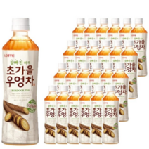롯데칠성 초가을 우엉차 500mlX24pet, 500ml, 24개