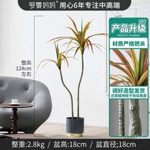 인조 나무 대형 조화 카페 인테리어 장식용 꽃 열대 화분 야자수 정원 행인 플랜트 레몬 올리브 대나무 레몬트리 극락조 올리브 꽃꽃이 실내 설유화 바나나 식물 97, 2 헤드 밀레니엄 우드 123cm 가을 색상 라이