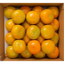 단감 5kg (26입내외), 5000g