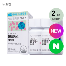 NEW 대용량 / 뉴트립 혈당 밸런스 바나바 2박스 6개월