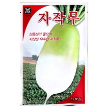 자작무씨앗 20g 무씨앗 김장무 가을무 자작무 씨앗, 1개
