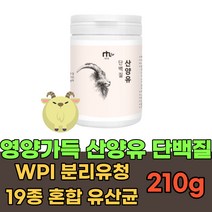 아침 저녁 식사 대용 산양유 단백질 분말 가루 파우더 맛있는 마시는 프로틴 고단백질 프로테인 PROTEIN 쉐이크 드링크 헬스 운동 전 후 보충제 WPI 초유 식물성 노인 중년, 1통, 210g