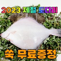 2023년 봄 제철 도라리 쑥국 1kg (800g) 사음품 쑥 50g