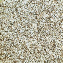 홍화씨 500g 홍아씨 홍화씨앗 홍화차 홍화씨차 국내산, 1개