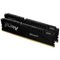 Kingston 킹스턴 Technology 퍼리 비스트 블랙 16GB 6000MT/s DDR5 CL40 XMP 3.0 레디 컴퓨터 메모리 2개 KF560C40BBK2-16, 4800MT/s_32GB