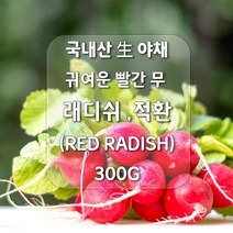 미트팬트리 귀여운 빨간 무 국내산 生 레드 래디쉬 (FRESH RED RADISH) 적환 300g