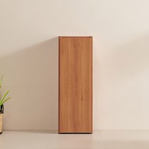 도어형 문달린 책장 도어 수납 문있는책장 모던 슬림한, 아카시아