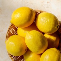인기 레몬17키로는몇개 추천순위 TOP100 제품 목록