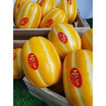 산지직송 달콤 성주 꿀 참외 가정용 2kg/3kg/4kg/5kg/10kg, 가정용 소과 5kg