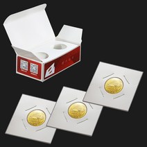 동전 보관 종이홀더 50매