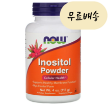 나우푸드 이노시톨 파우더 powder 730mg 약113g, 113g, 1개