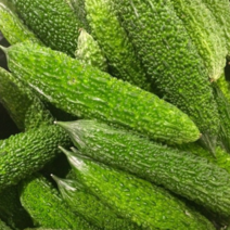 해남 생 여주 3kg 국산 23년 여주 열매 국내산 전라남도 해남 산지 직송 여주 생과, 1개