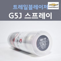 쉐보레 트레일블레이저 G5J 다크문블루 주문컬러 스프레이 자동차 차량용 카 페인트, 1개, 200ml