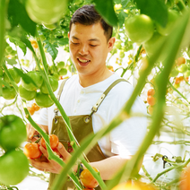 수토마켓 완숙찰토마토 쥬스용토마토 GAP 2.5kg, 못난이토마토 2.5kg, 1개