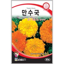 만수국 60립 꽃씨 꽃씨앗 몰 일년생 세계종묘 야생화