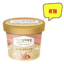 상하목장 유기농 아이스크림 딸기 100ml x 8개, 1개