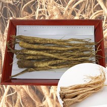 청정 영주소백산도라지 세척/깐/흙도라지 산지직송, 1개, 흙도라지-나물용_특상품2kg