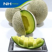 기타 곡성농협 메론 멜론 8kg(4수), 1box, 메론 대과 4개 (총8kg내외)