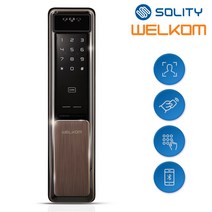 [전국설치] 솔리티 웰콤 신제품 얼굴안면인식 푸시풀 WSP-2900A 카드키2개+번호키 블루투스(옵션) AI딥러닝기술 신속 정확한 얼굴인증 얼굴인식100개 현관문 디지털도어락, 전국설치(A지역), 목요일