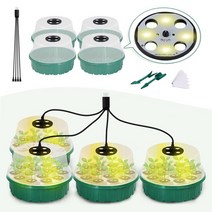 발 전체 스펙트럼 노란색 LED 성장 빛 14 셀 상자 라운드 씨앗 스타터 트레이 식물 실내 발아, [01] A-6pots-green