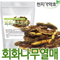 천지가약초 회화나무열매 추출분말 200g 회화나무 회화열매, 1개