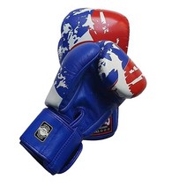 Twins Boxing 무에타이 트레이닝 스파링 장갑 (드래곤/실버 226.8g(8온스)) [미국 직배송], Philippines