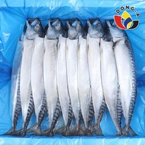 동아푸드 노르웨이 간고등어 5손 대 10마리 3.3kg, 1개