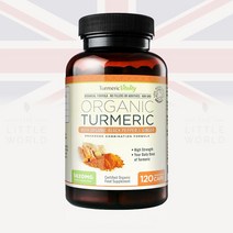 Turmeric Vitality Turmeric 터메릭 바이탈리티 터메릭 블랙페퍼 생강 함유 1420mg 120캡슐, 1개, 120개