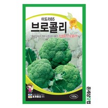 미도리65 100립 / 브로콜리씨 브로콜리 씨앗, 1개